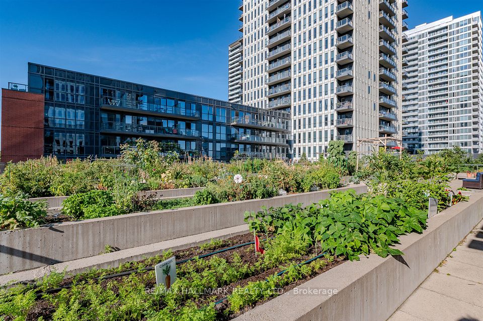 126 St David Street — 3-bedroom townhouse for sale in Regent Park, Toronto